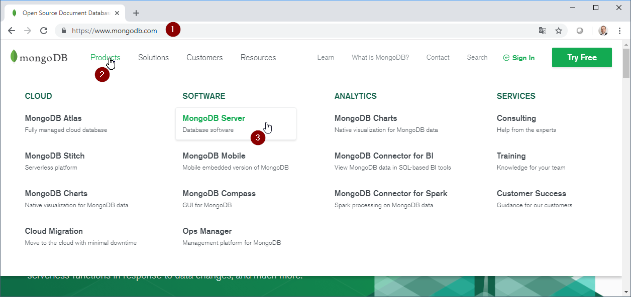 download_database_01_mongo_page.png